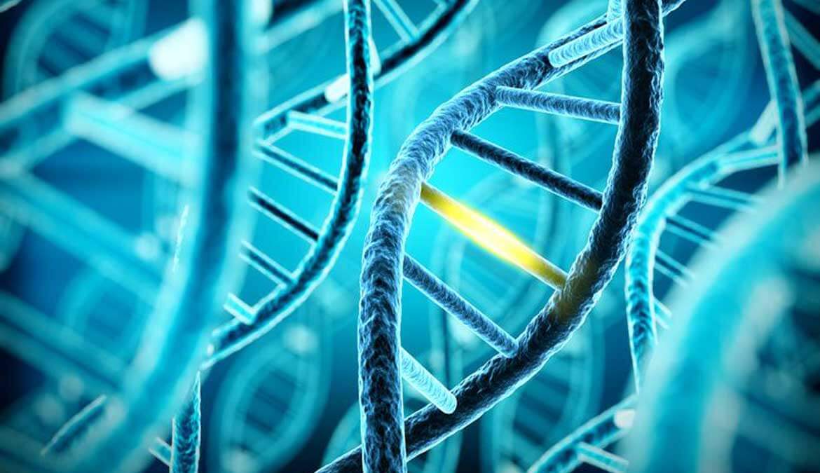 DNA_Blog CRISPR-Cas