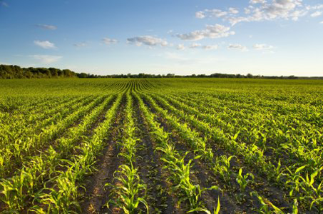 Landwirtschaft, Digitalisierung