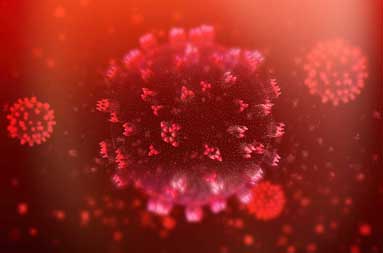 Coronavirus und Immunsystem, Blog