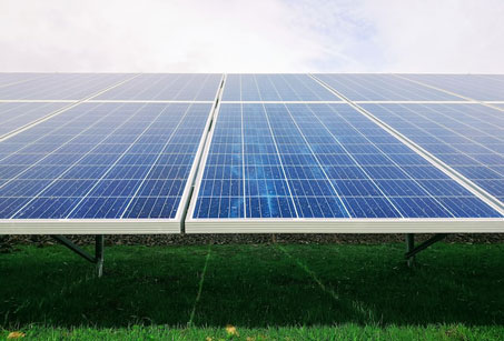Photovoltaikmodule auf grünen Flächen